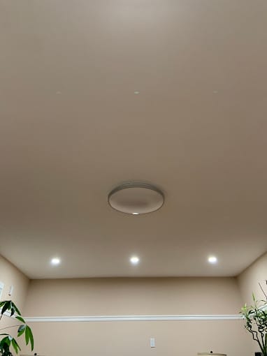 A beige ceiling with a round central light fixture and four smaller recessed lights arranged in a row. The upper part of plants is visible at the edges of the image, giving a cozy new home feel.